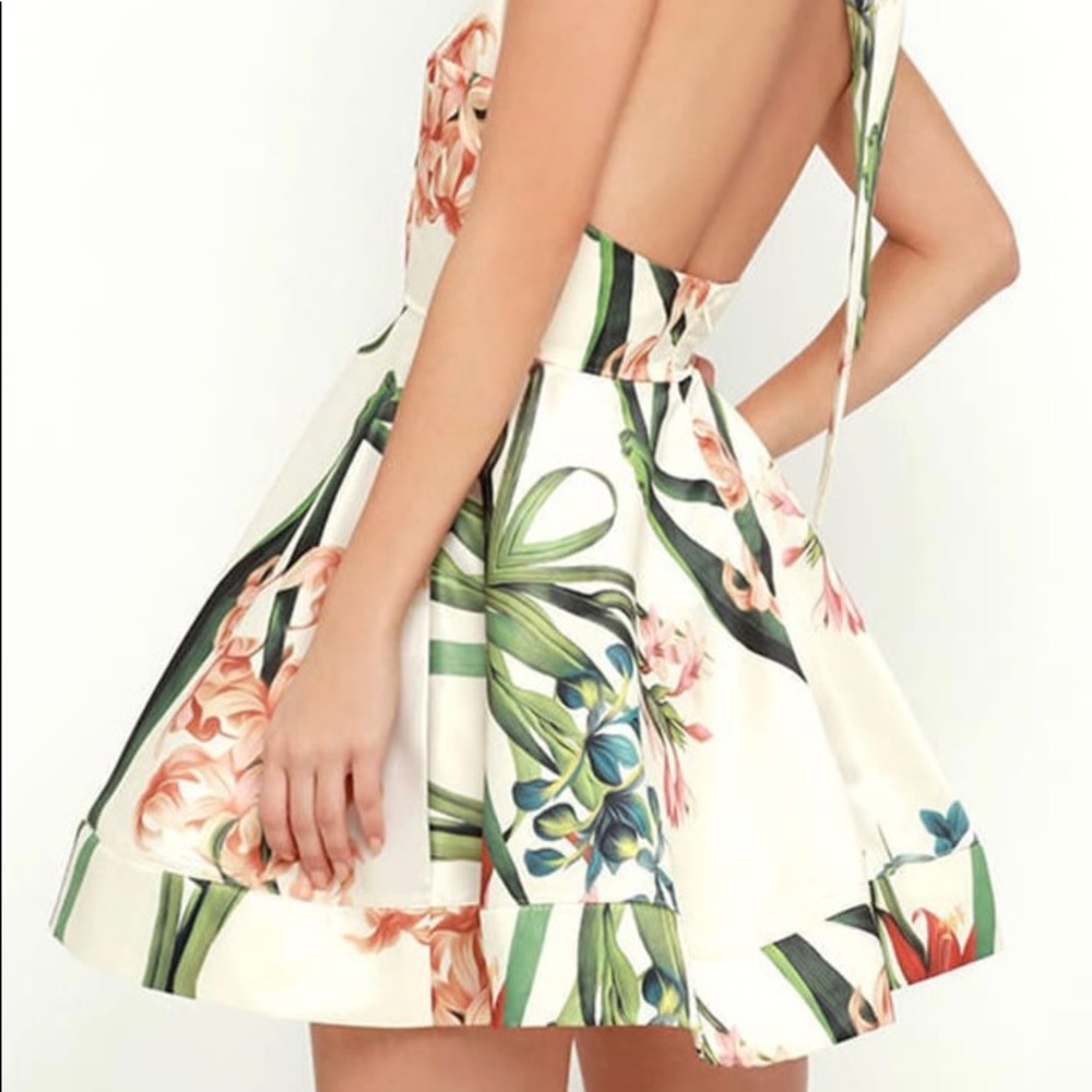 Lulu’s | Floral Print Skater Dress